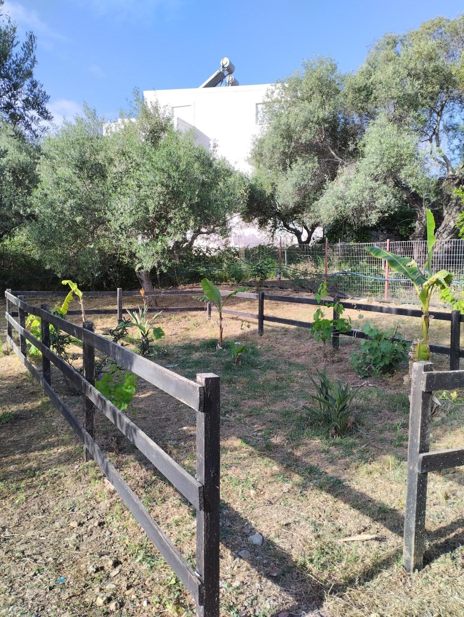 Olea Cottage Galatás Extérieur photo